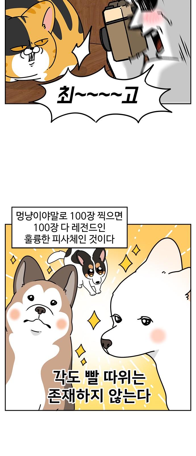 4 페이지