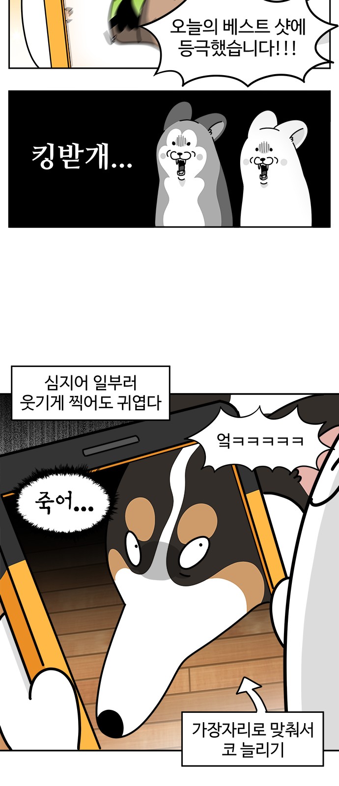 6 페이지