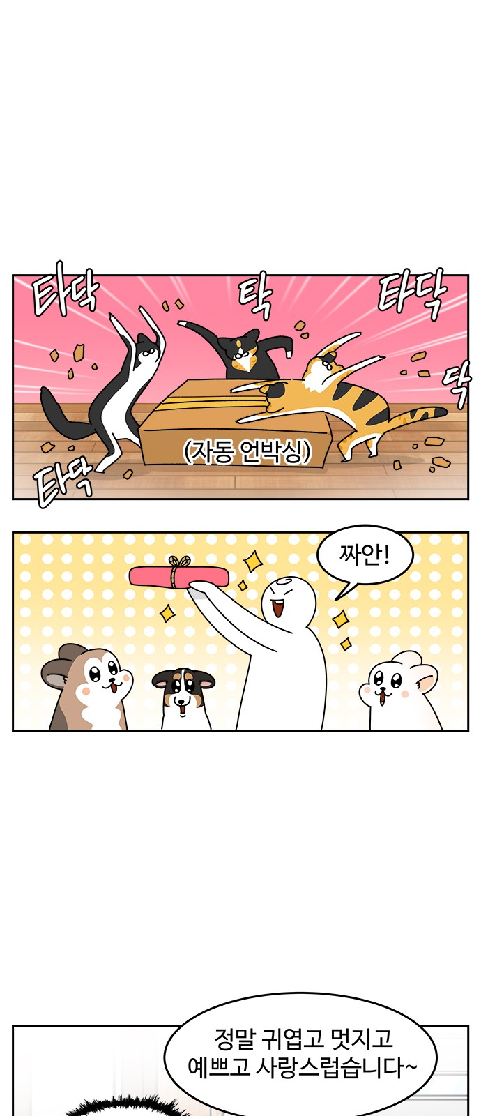 15 페이지