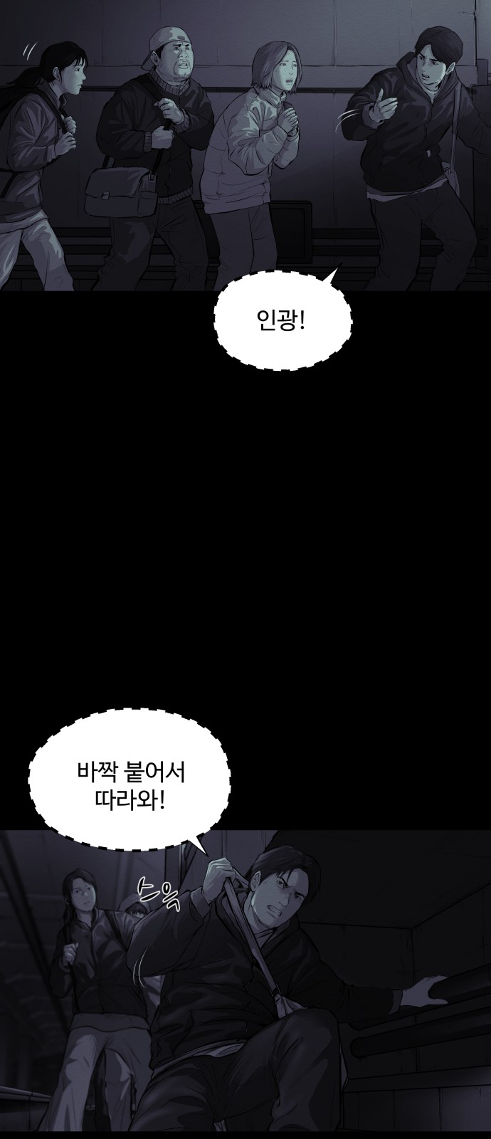 50 페이지