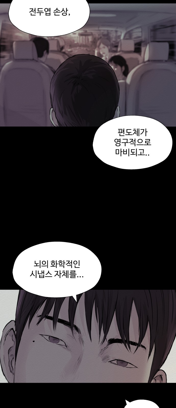 52 페이지
