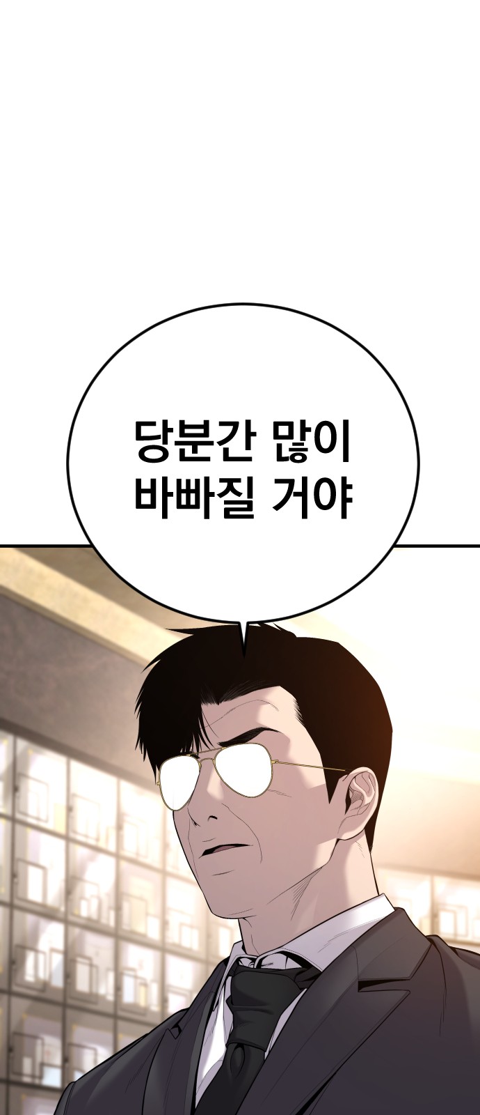 113 페이지