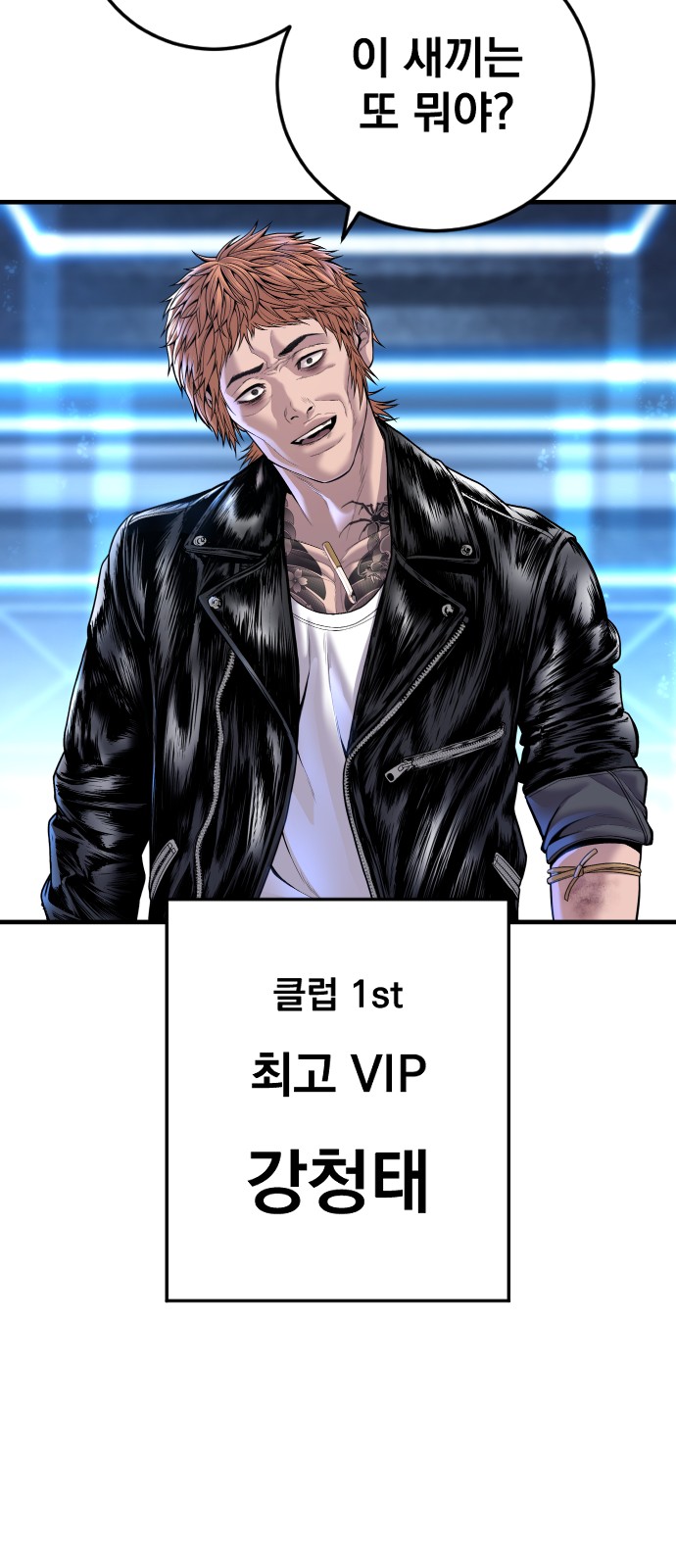 46 페이지