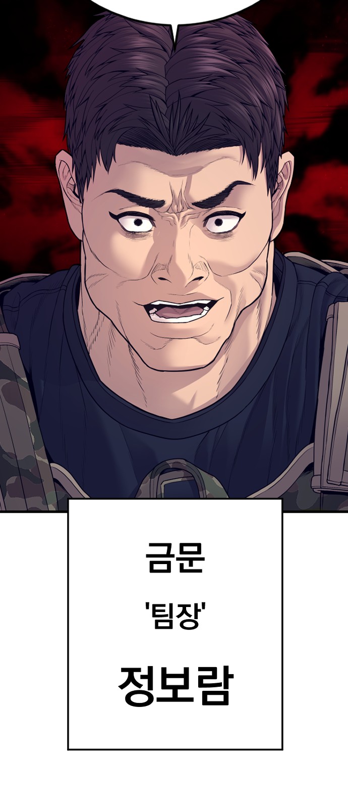 113 페이지