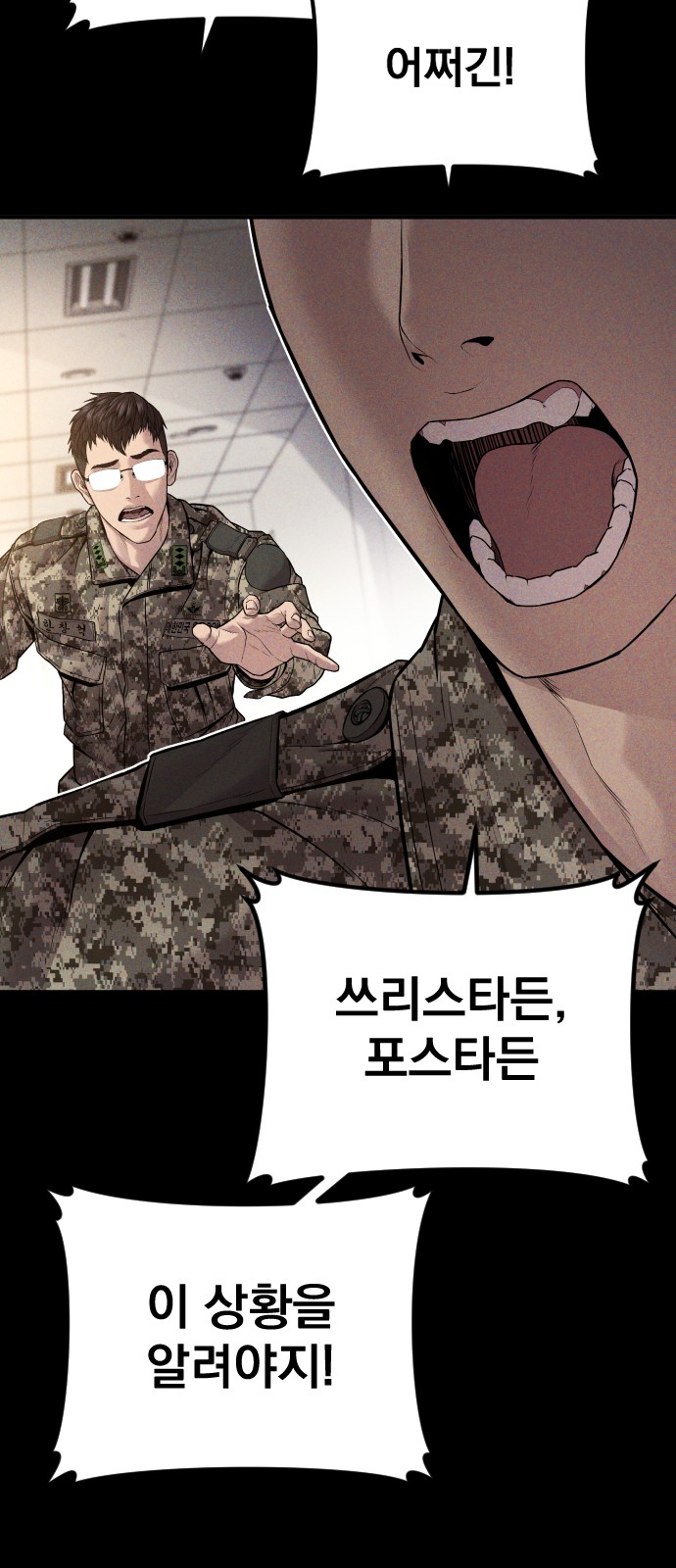 15 페이지