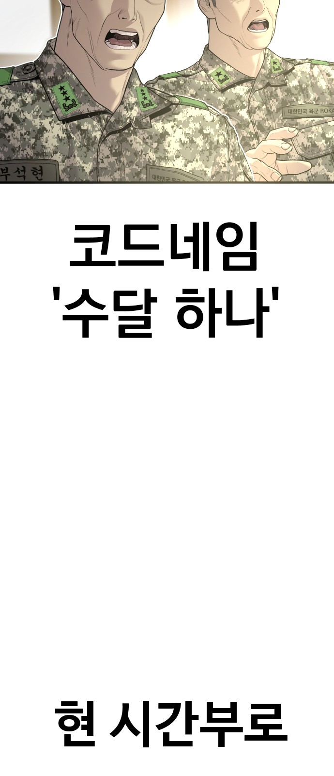 137 페이지