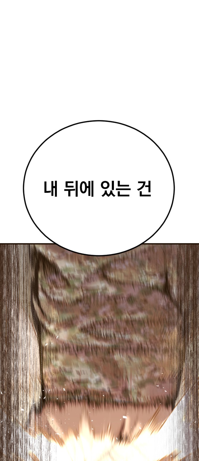 110 페이지