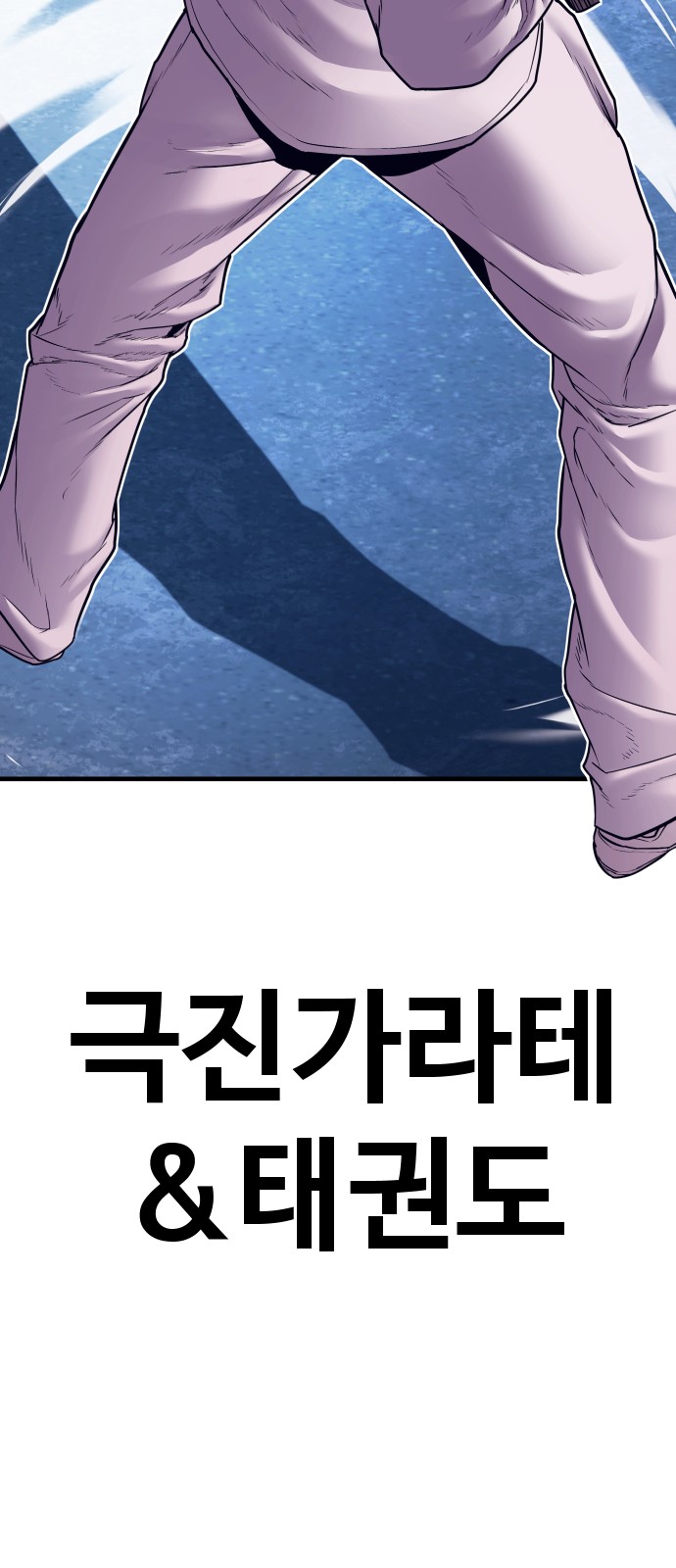 113 페이지