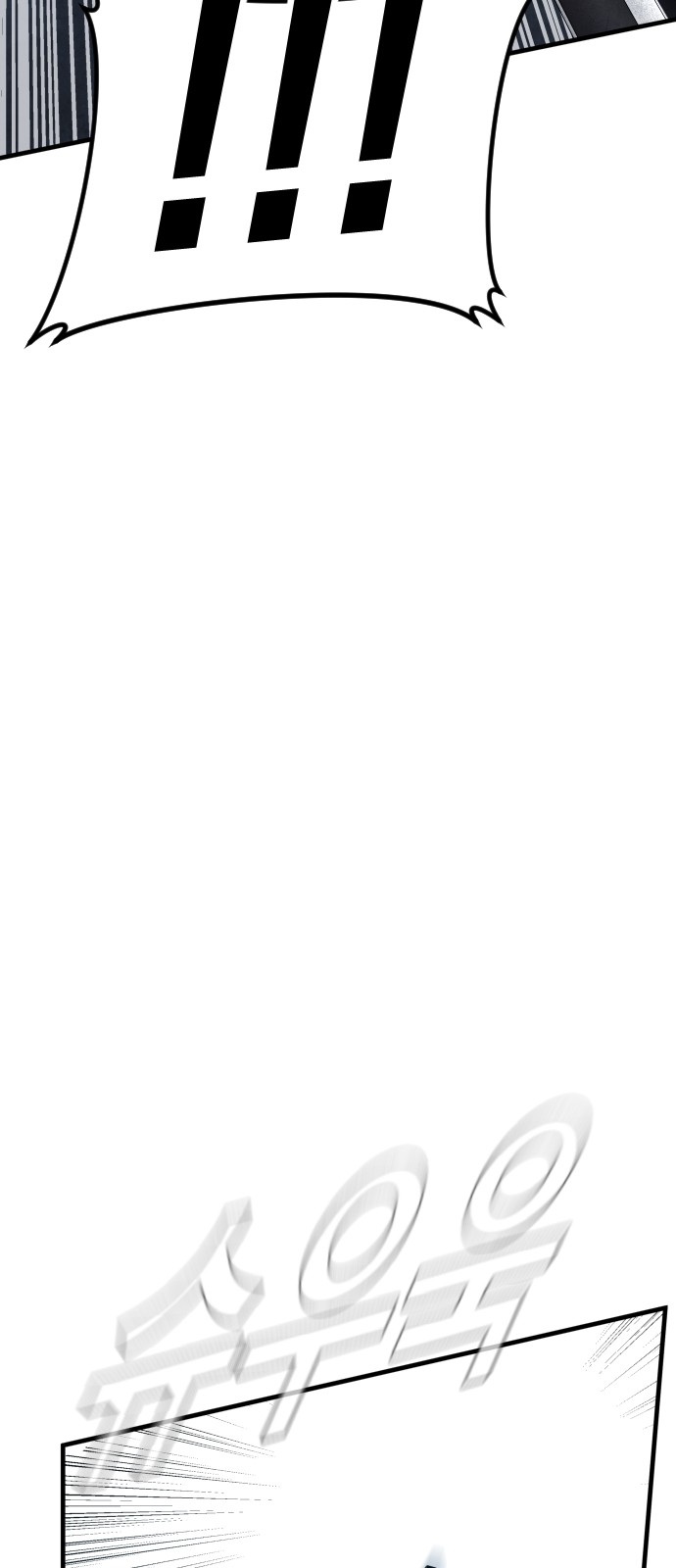 110 페이지