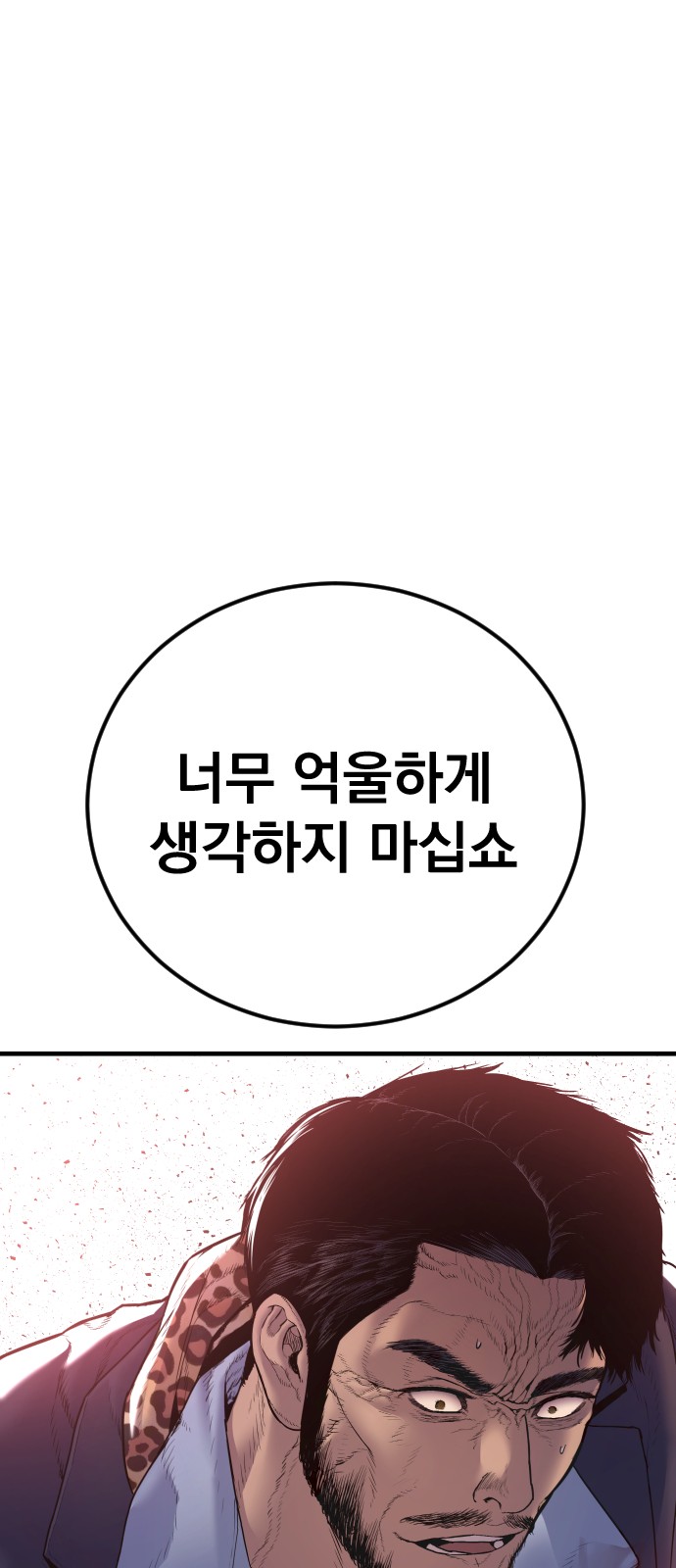 113 페이지