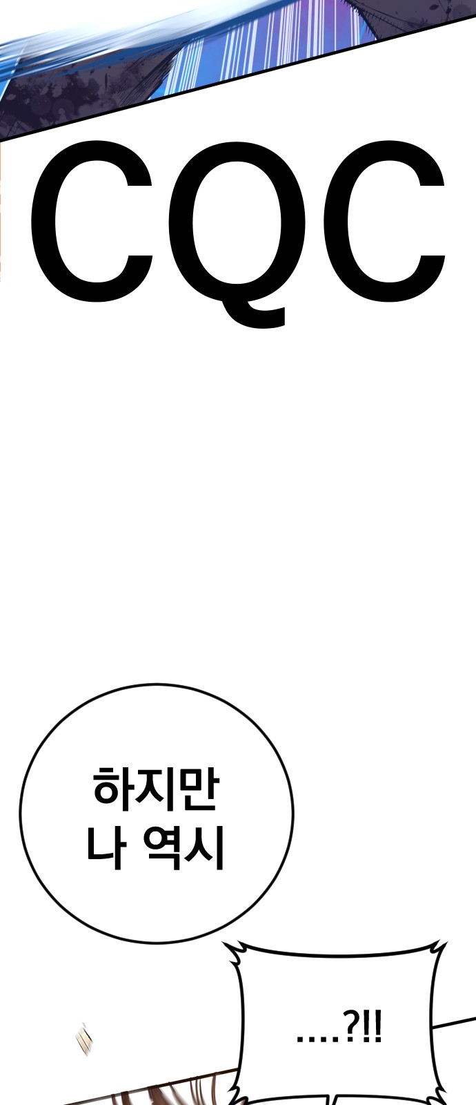 113 페이지