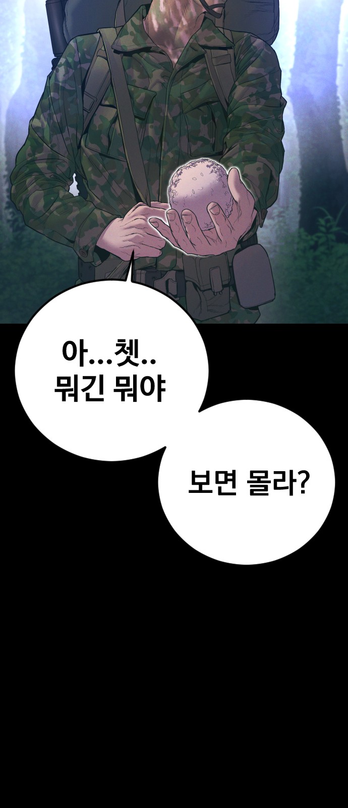 75 페이지