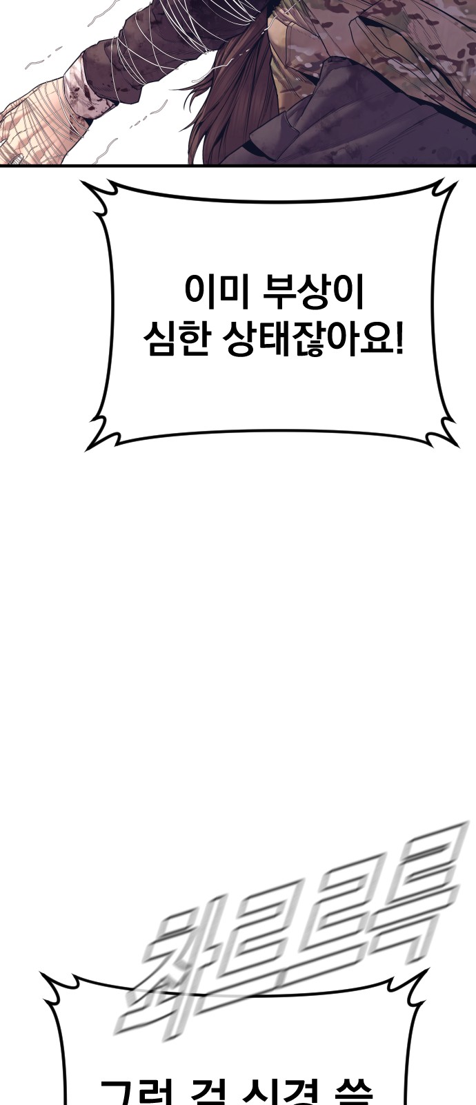 102 페이지
