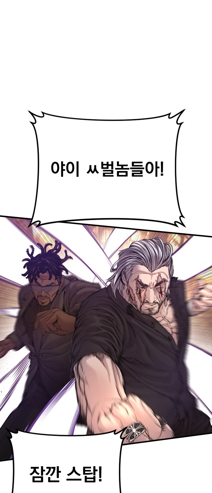 100 페이지