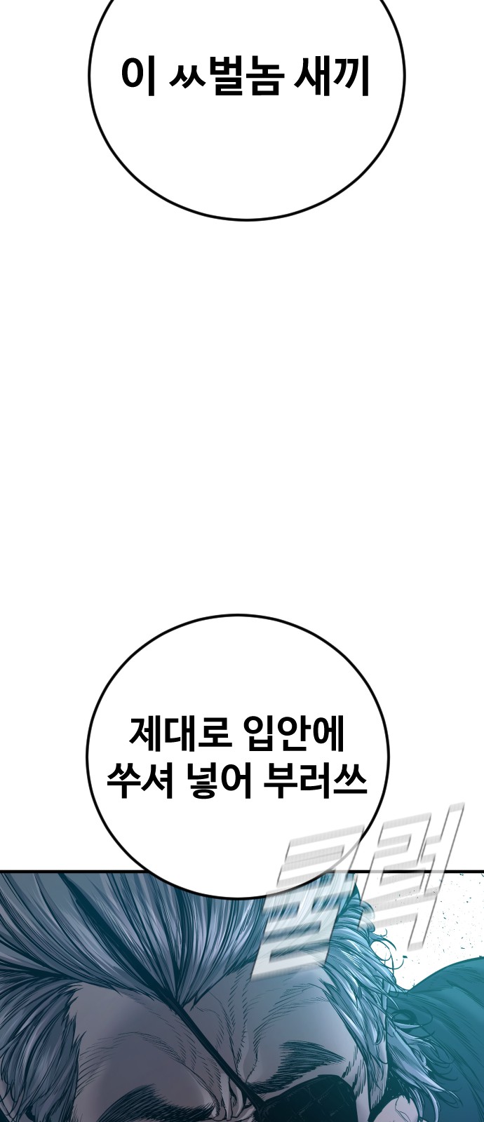113 페이지