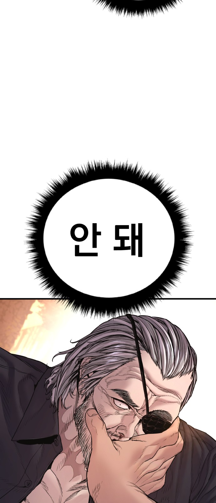 117 페이지