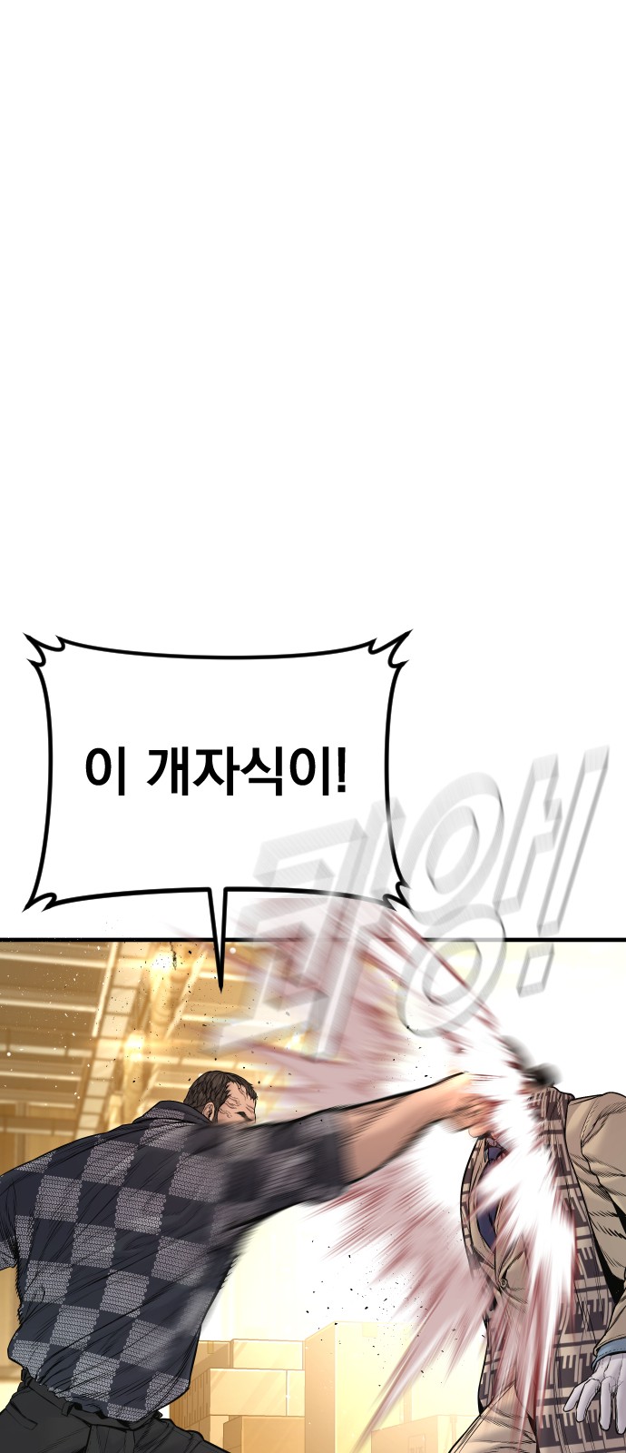 113 페이지