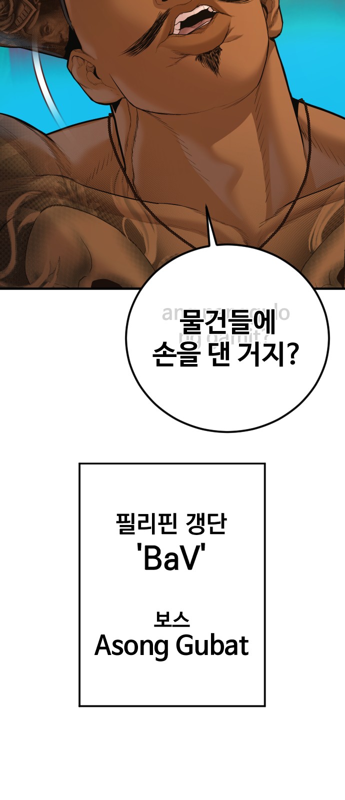 116 페이지