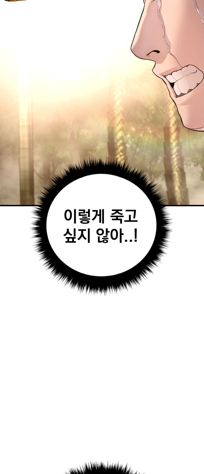 155 페이지