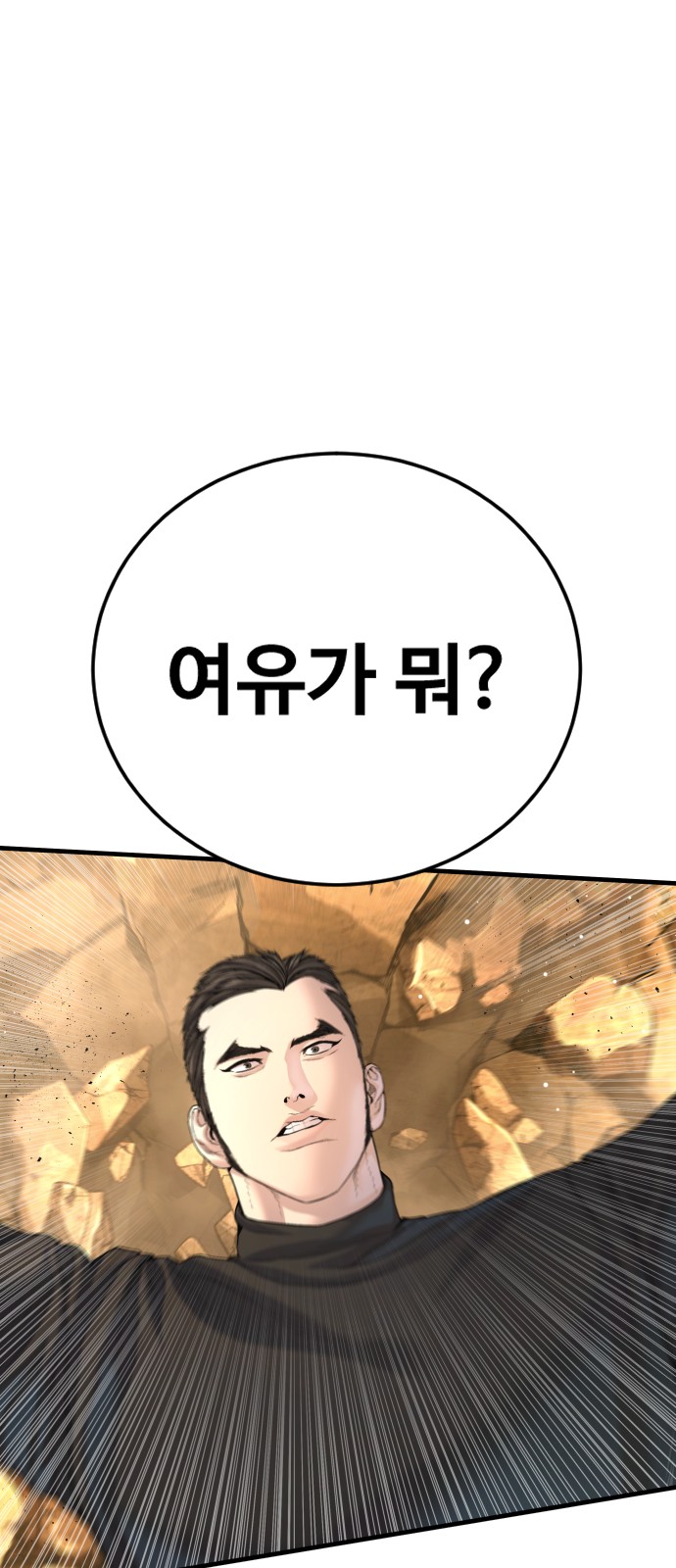 95 페이지