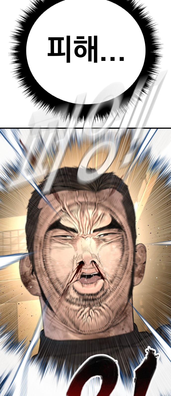68 페이지