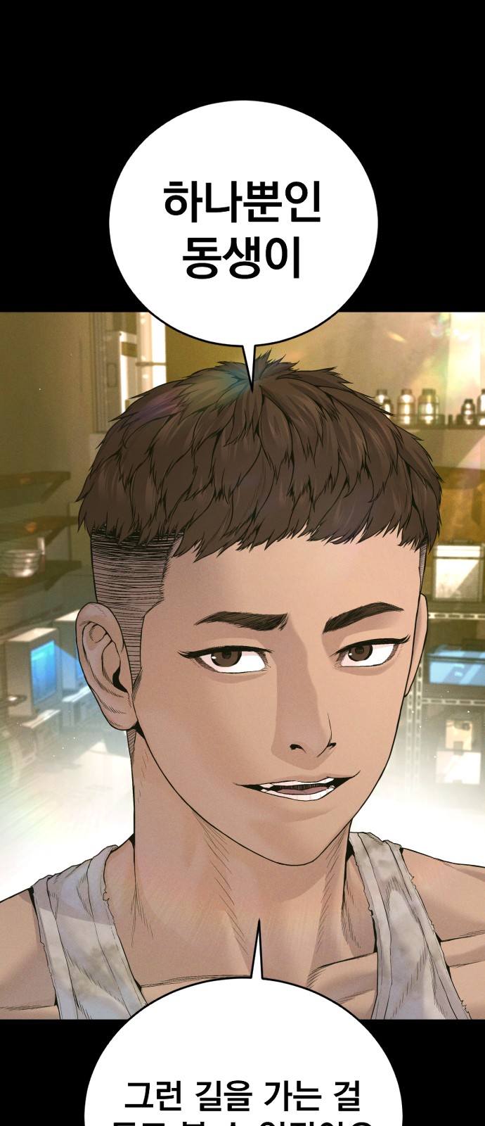33 페이지
