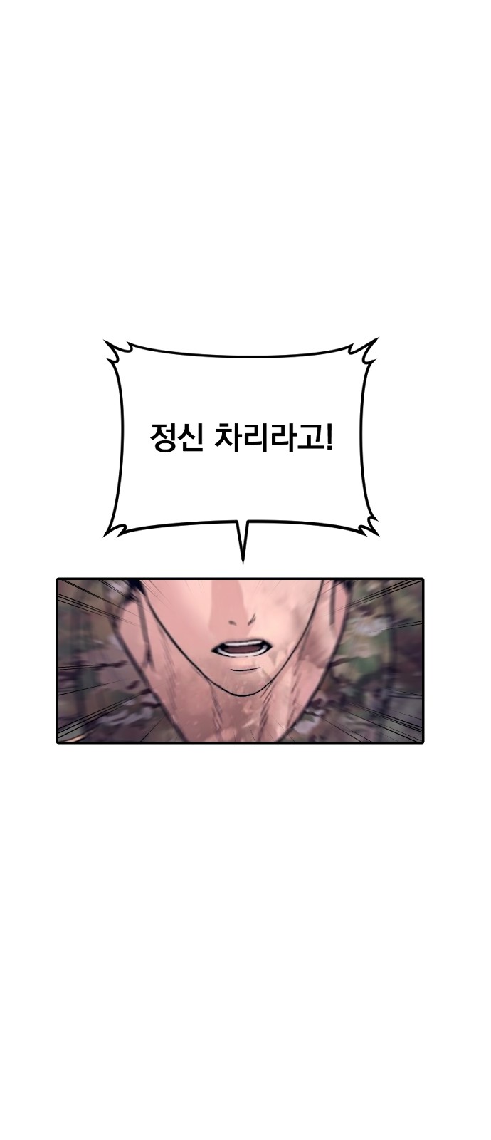 100 페이지