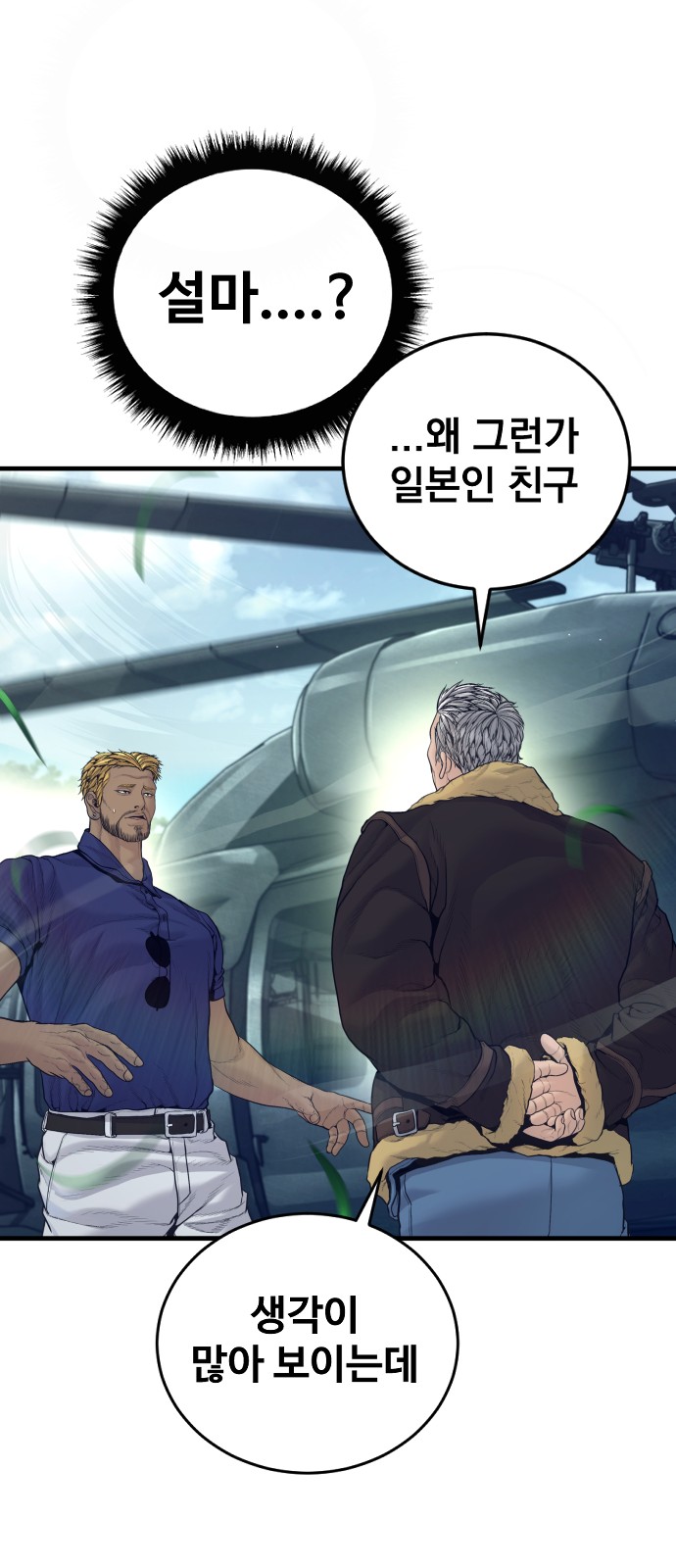 30 페이지