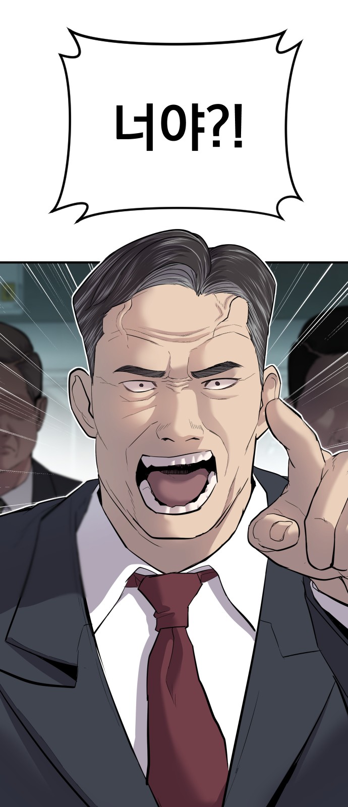 46 페이지