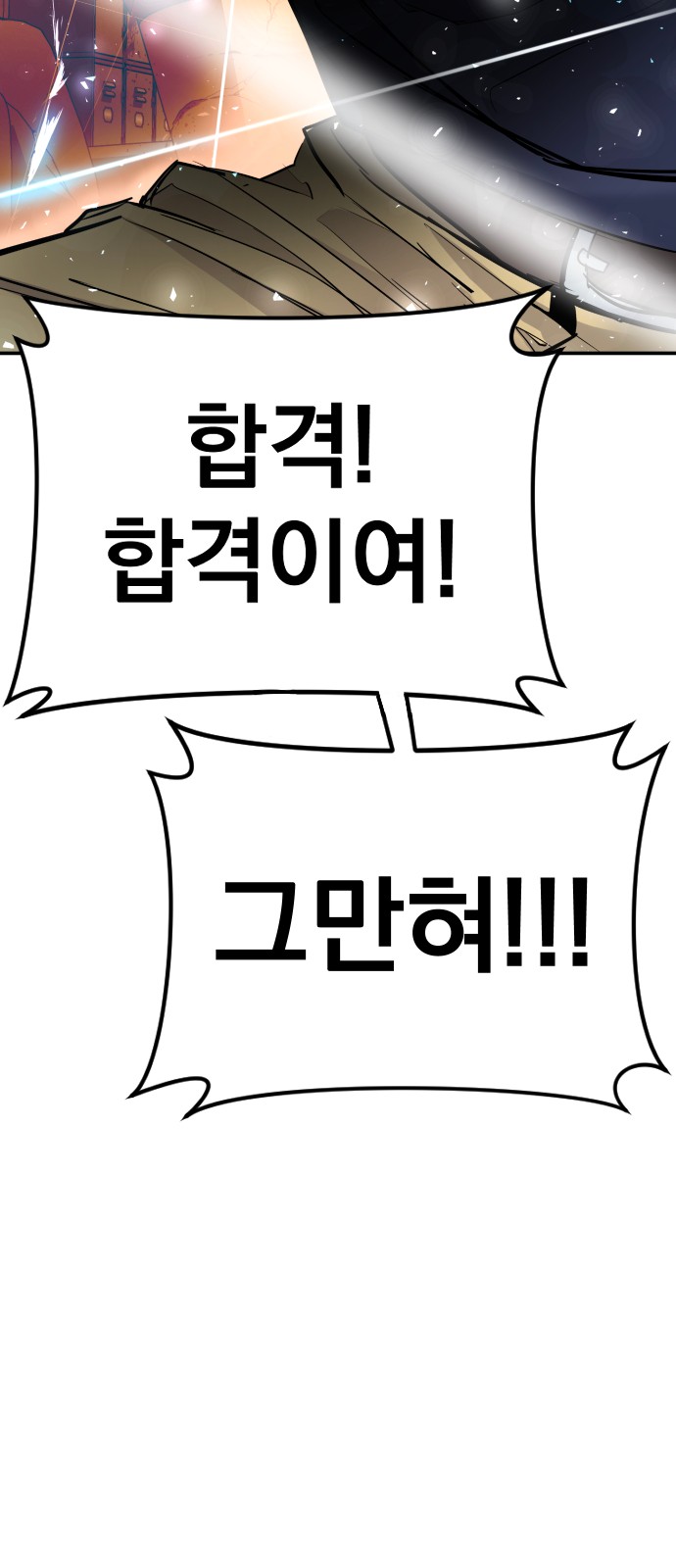 110 페이지