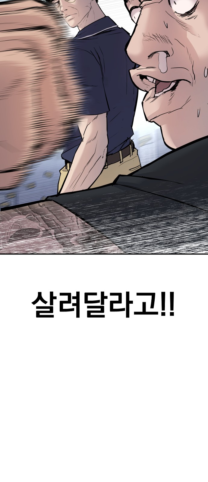 80 페이지