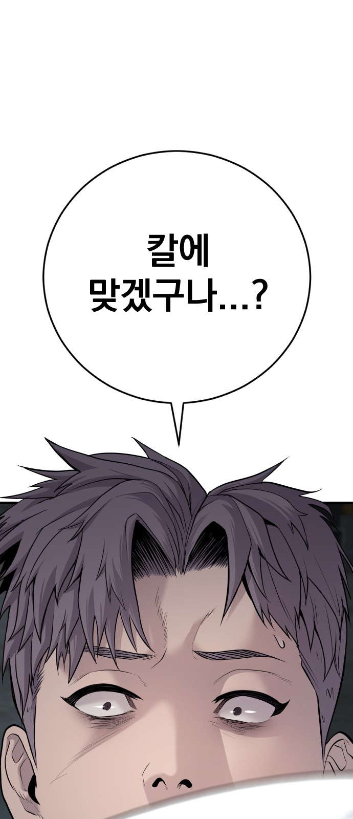 113 페이지