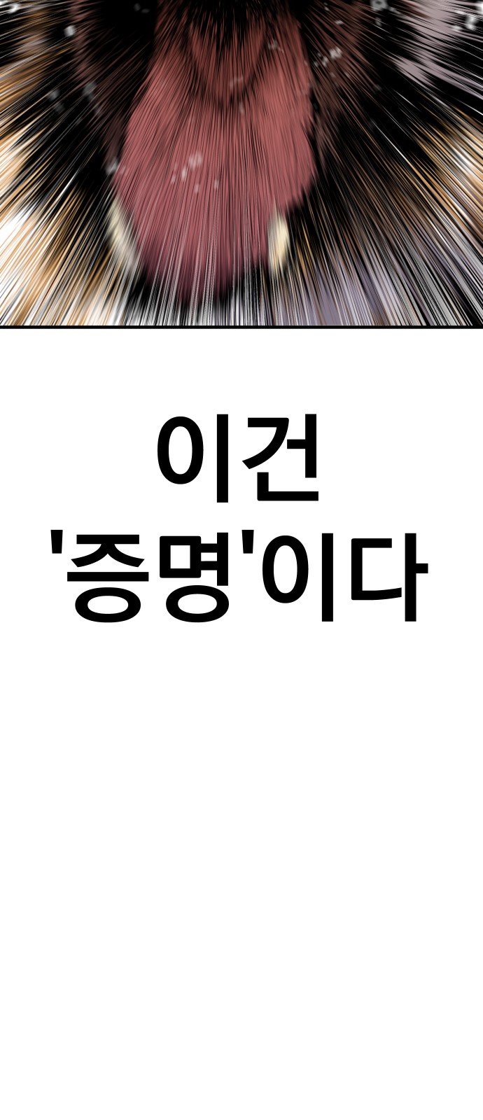 153 페이지