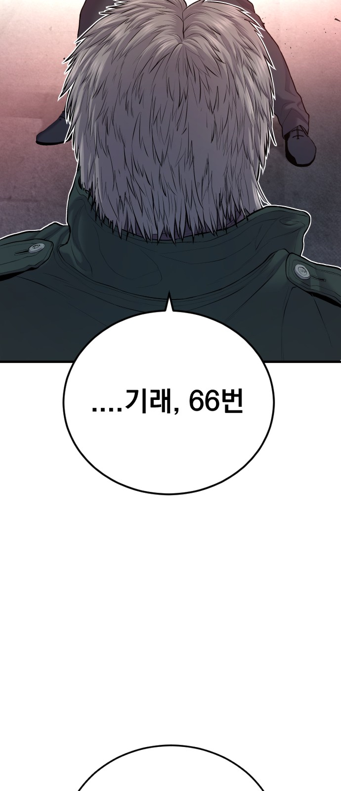 66 페이지