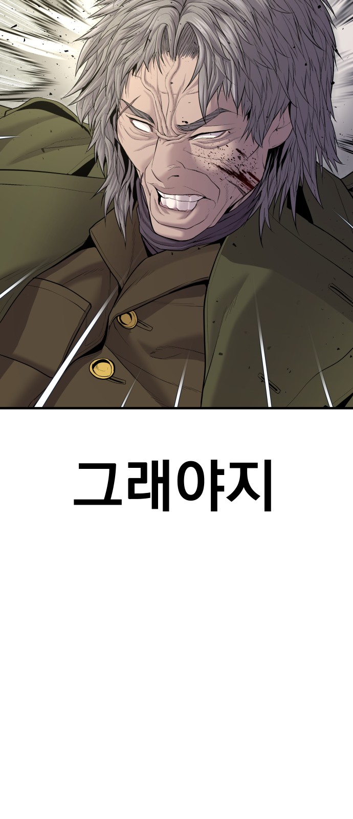 141 페이지