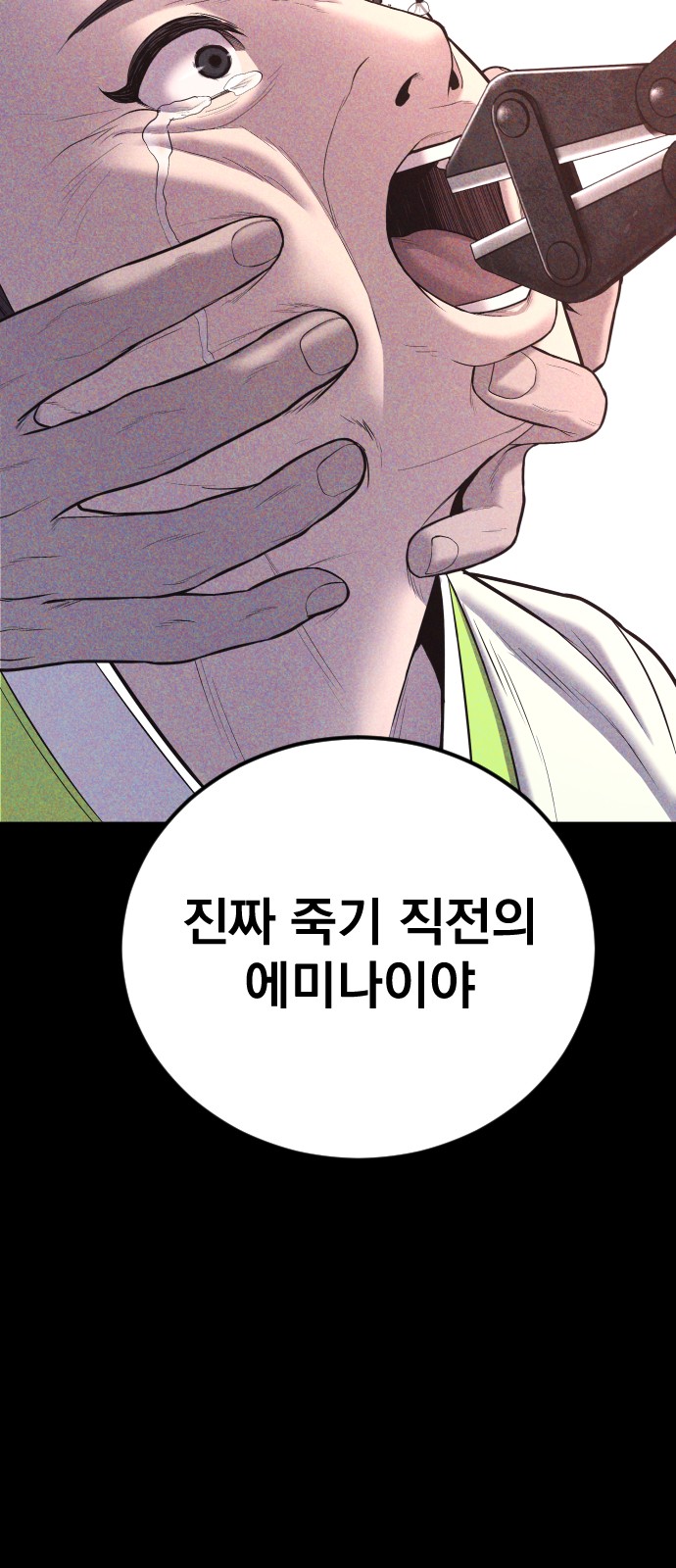 66 페이지