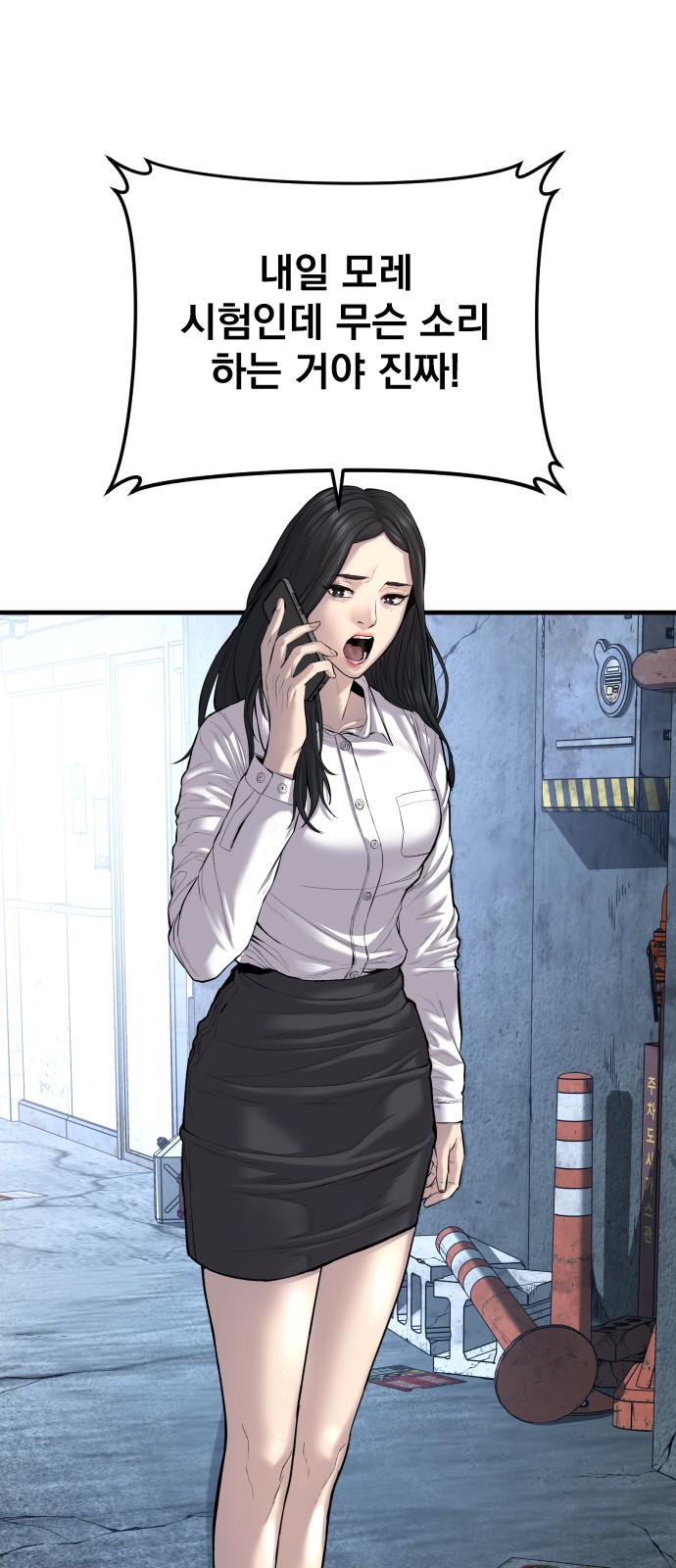 12 페이지