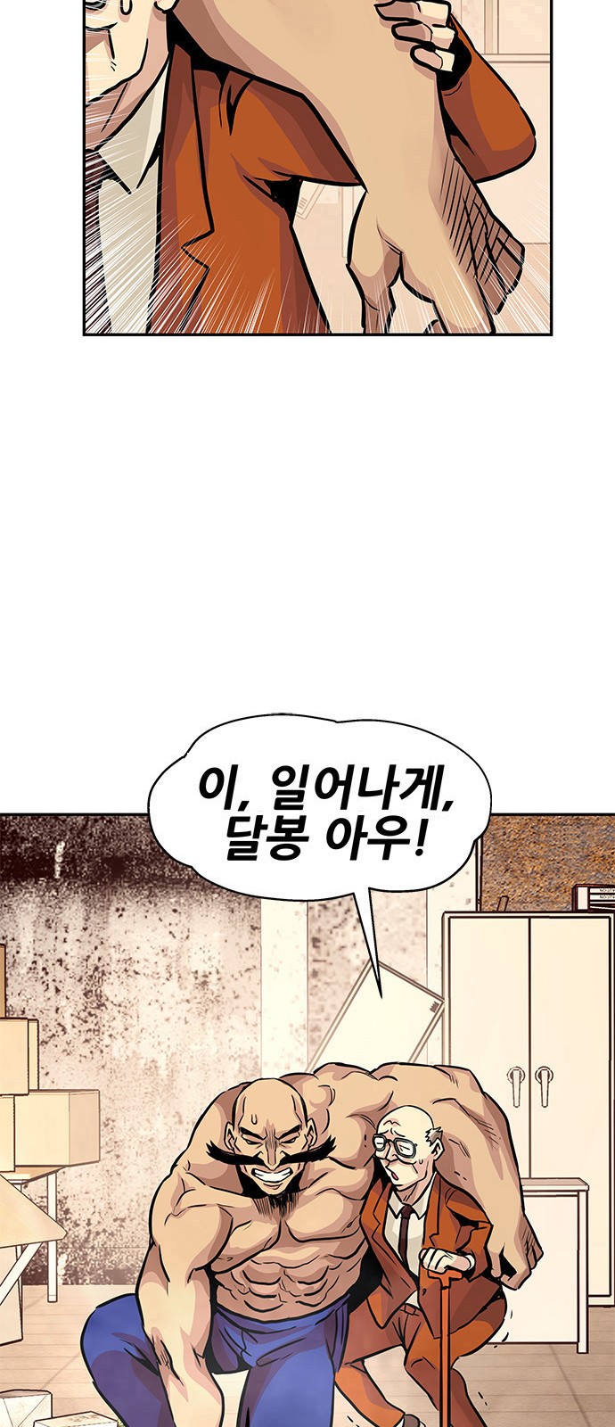 146 페이지
