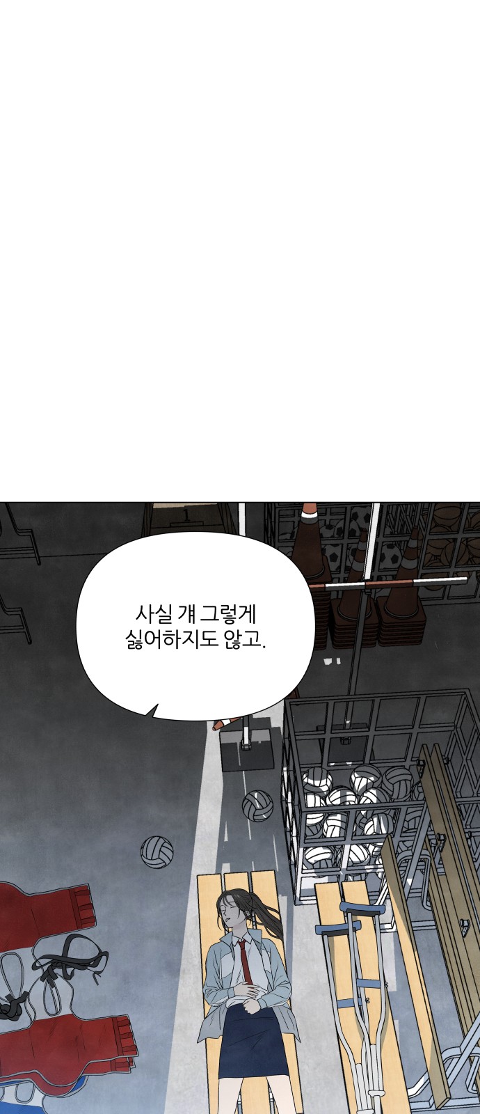 45 페이지