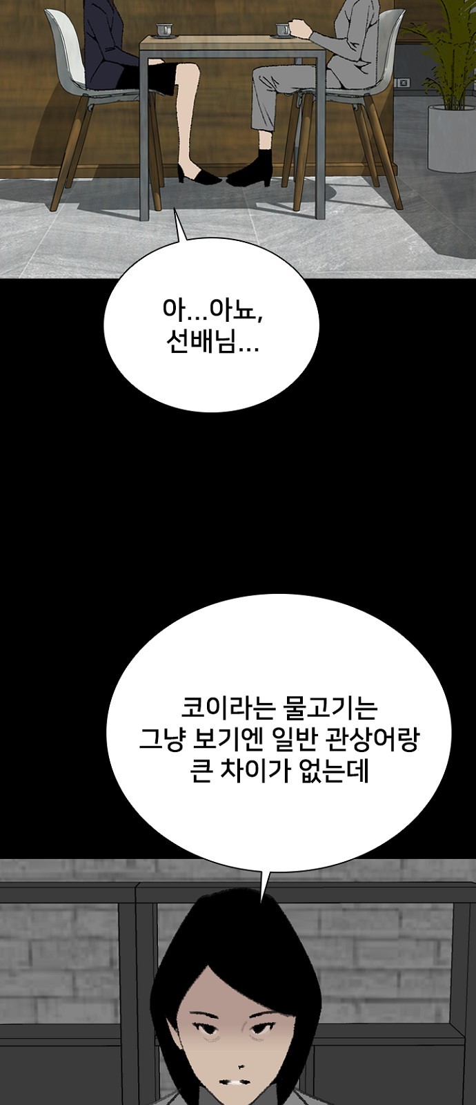 42 페이지