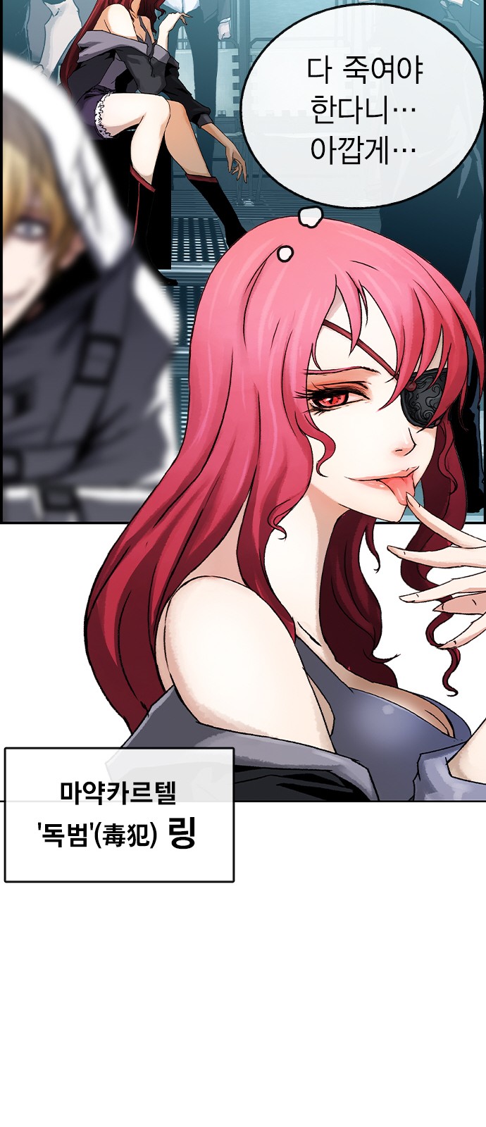 68 페이지