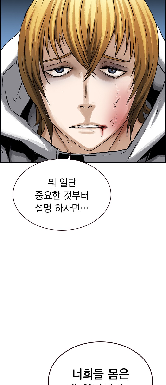 30 페이지