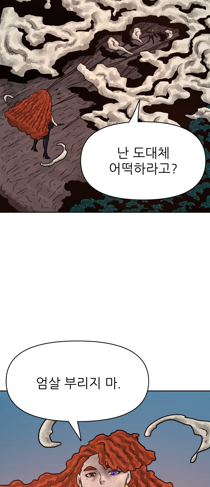 66 페이지