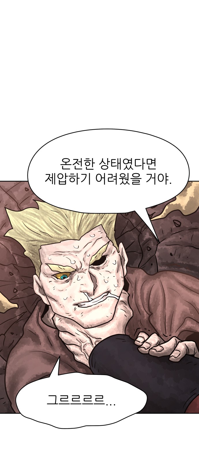 48 페이지