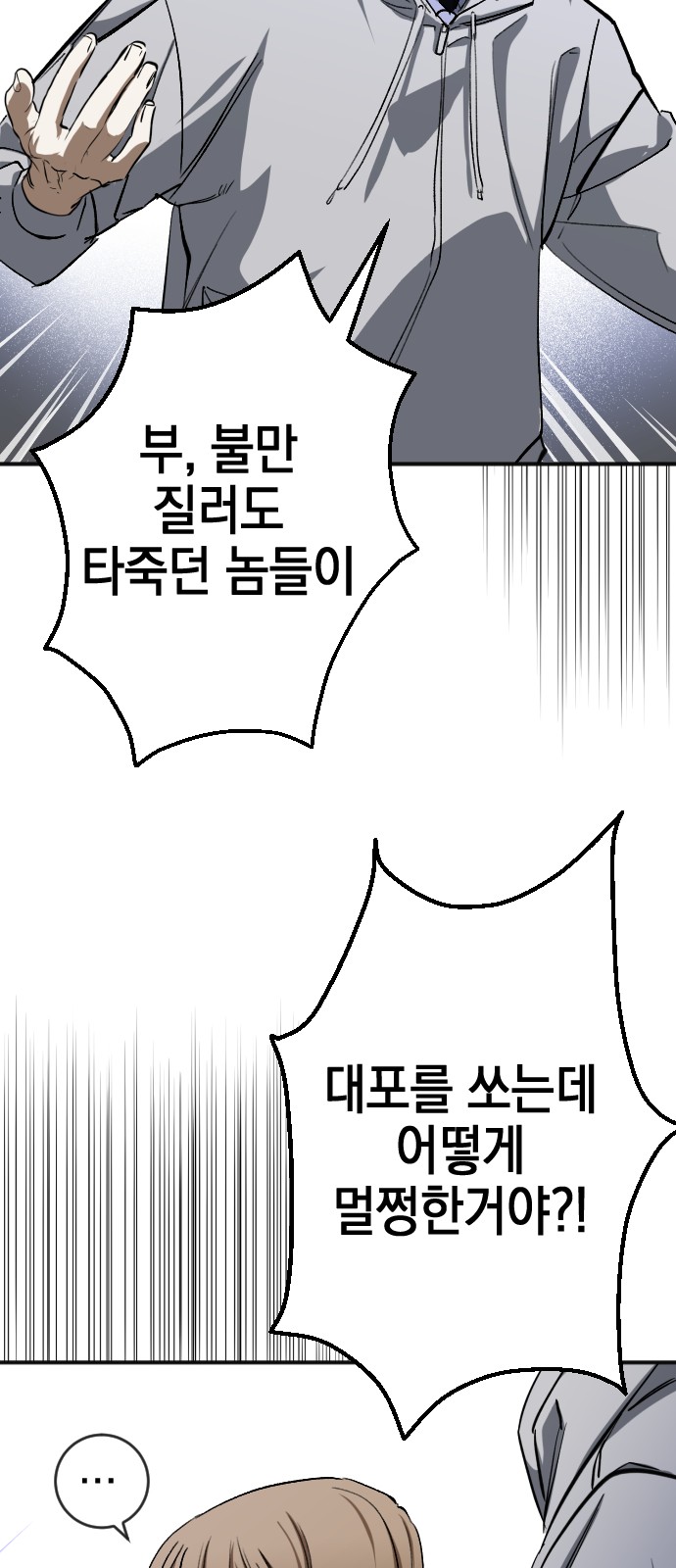 66 페이지