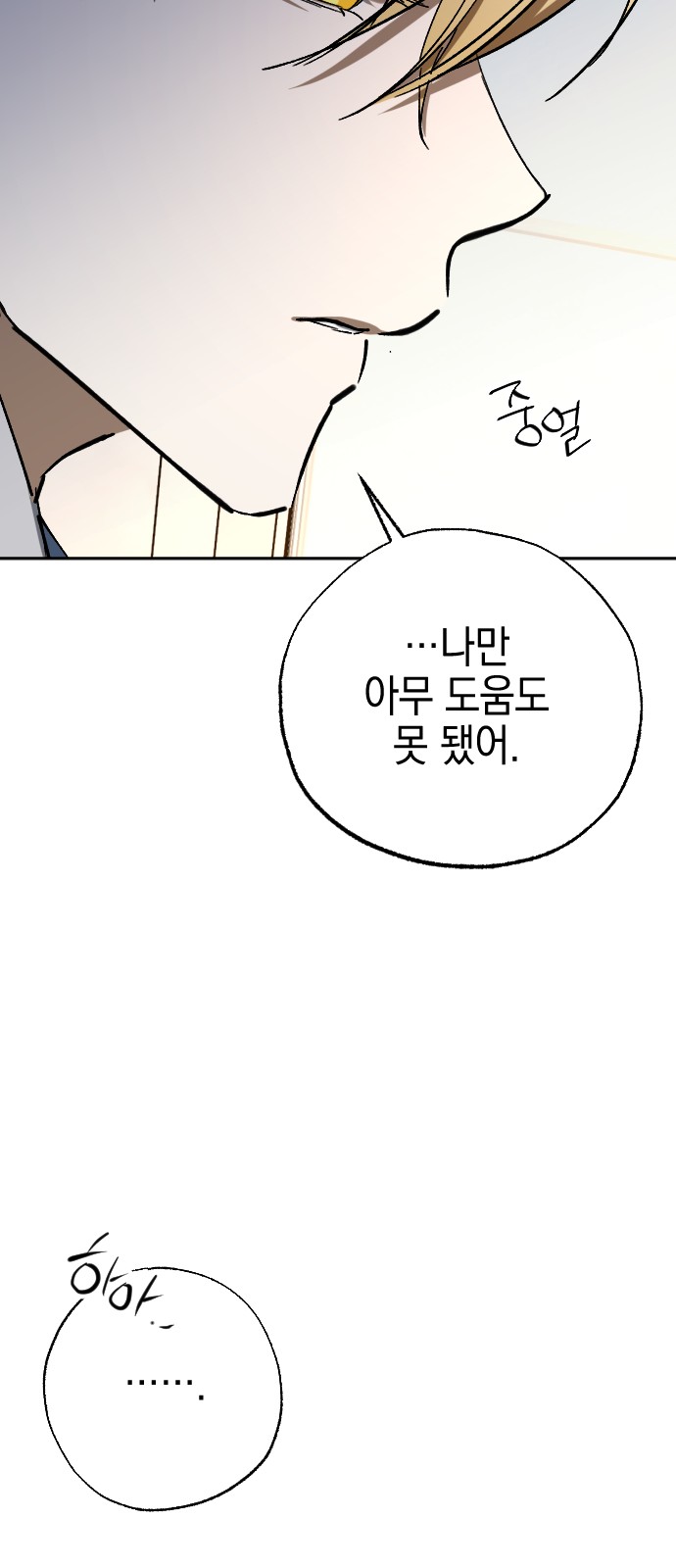 66 페이지