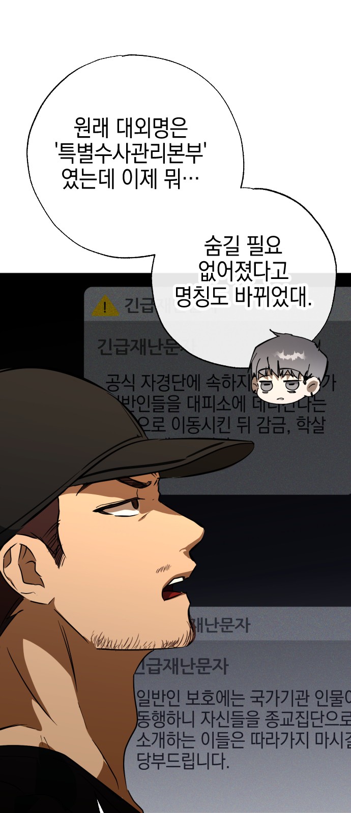 43 페이지