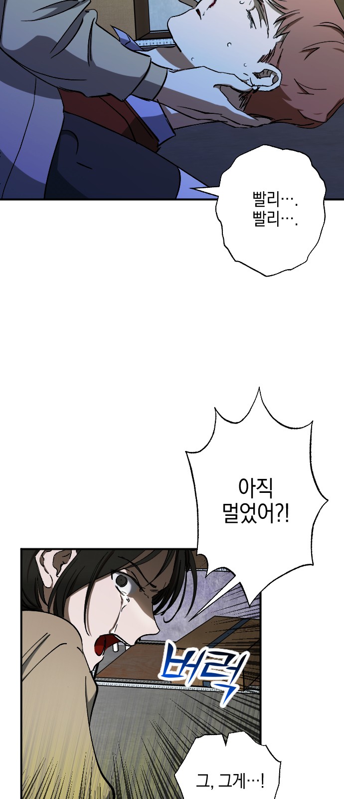 66 페이지