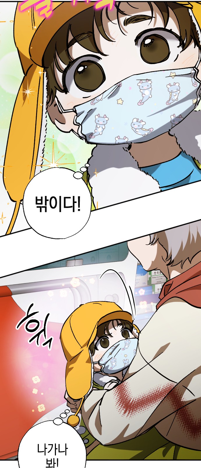 29 페이지