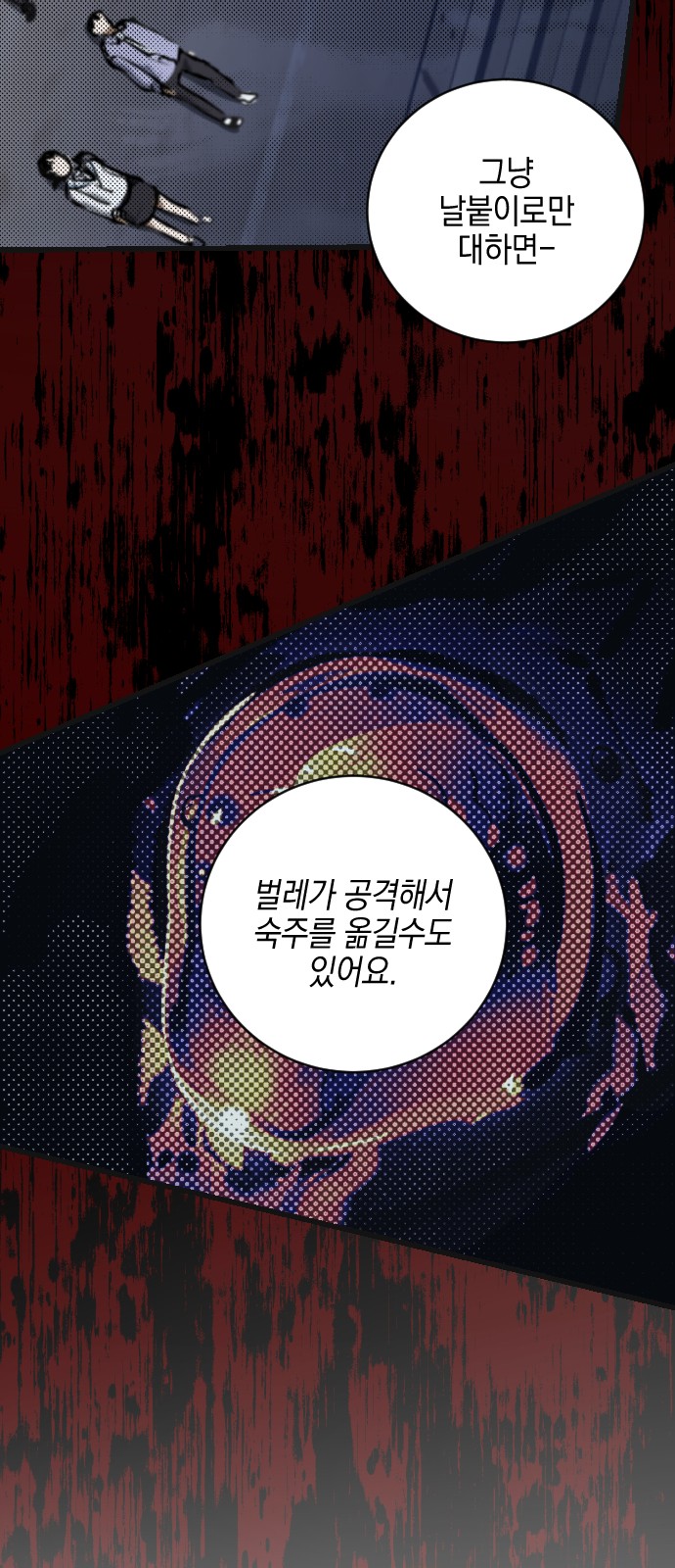 14 페이지